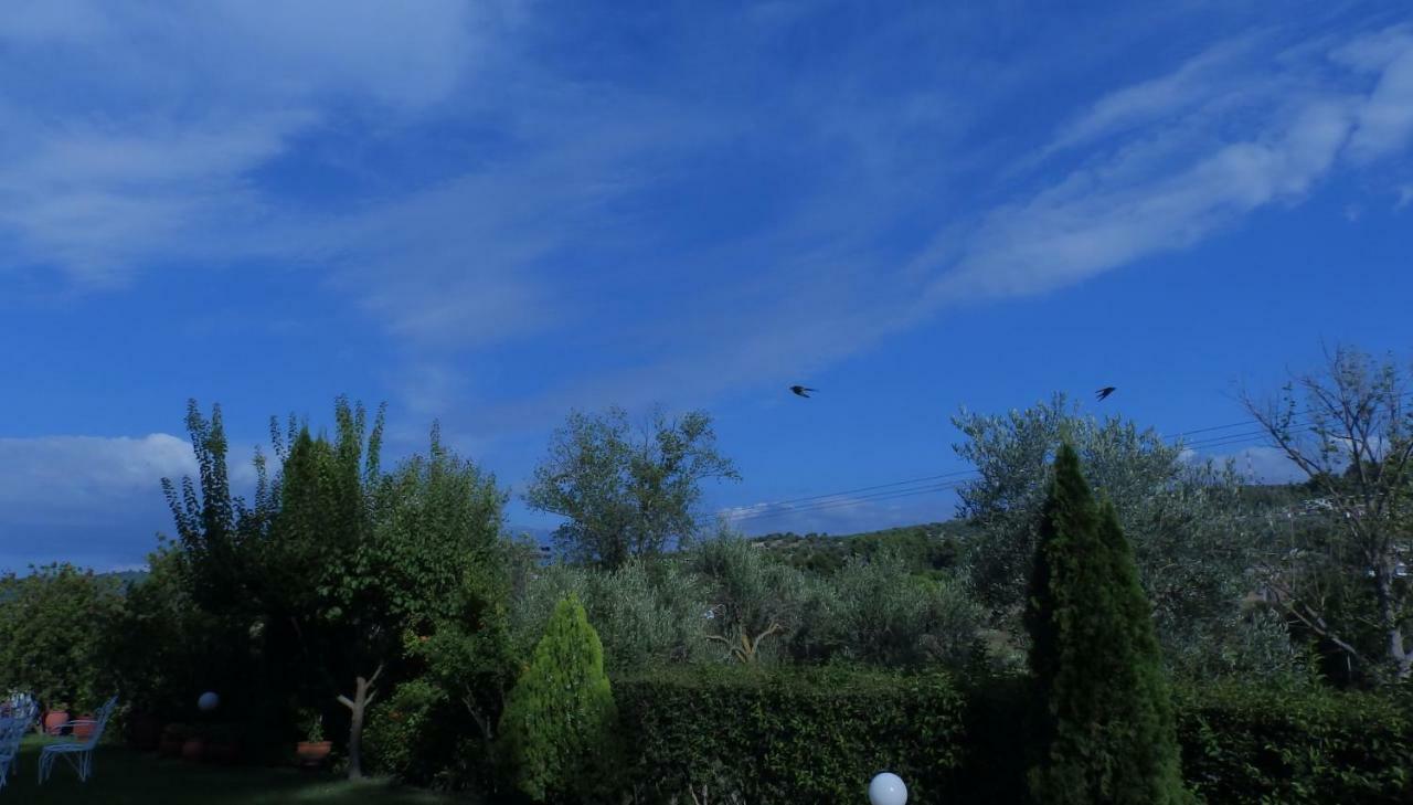 Villa Georgia Poseidi Καλάνδρα Εξωτερικό φωτογραφία